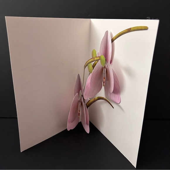 Pop-up card w/envelope - ORCHID - Picture 4 of 5